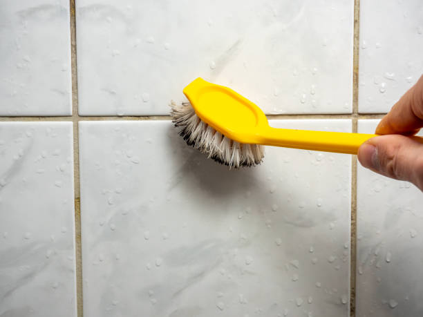 Home Mold Removal in Silverton, OR