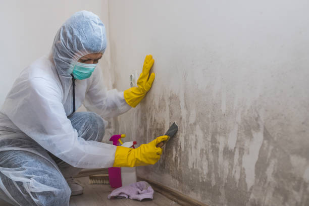 Best Commercial Mold Removal  in Silverton, OR